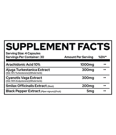 REPP Sports - RAZE MASS CAPS - 120 Capsules